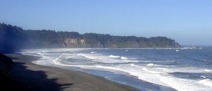 [Photo of Patrick's Point]