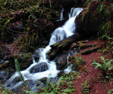 [Photo of Trillium Falls]