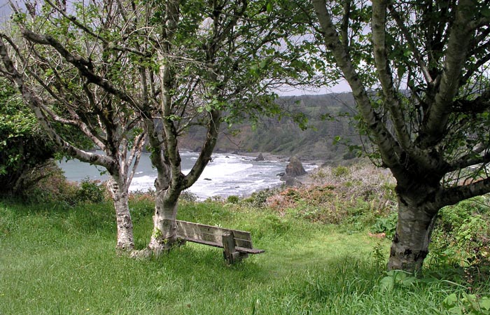 [Photo of bench with great view]
