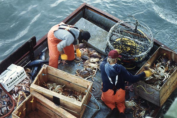 [Photo of crab boat and crabs]