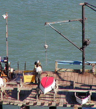 [Photo of fishermen unloading crab basket]