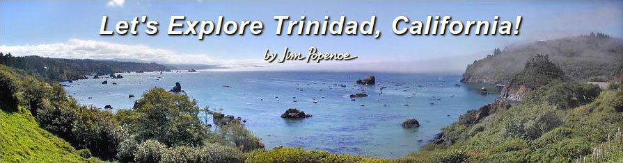 Let's Explore Trinidad, California!