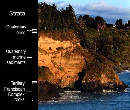 [Photo of strata exposed along bluff, Trinidad State Beach]